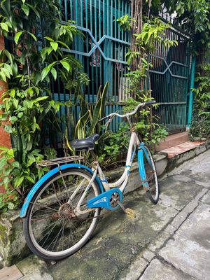 Xe đạp người lớn Trắng Xanh dương. Mua bán Xe đạp tại Quận Cẩm Lệ Đà Nẵng được đăng bởi Triệu Vỹ