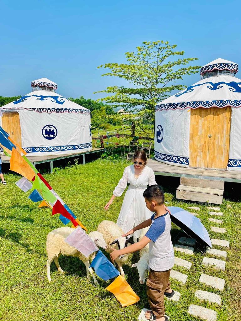 Lều Mông Cổ Trắng Vàng Mới Nguyên. Mua bán Đồ thể thao, Dã ngoại tại Quận Liên Chiểu Đà Nẵng được đăng bởi Meo Hoang hình 1