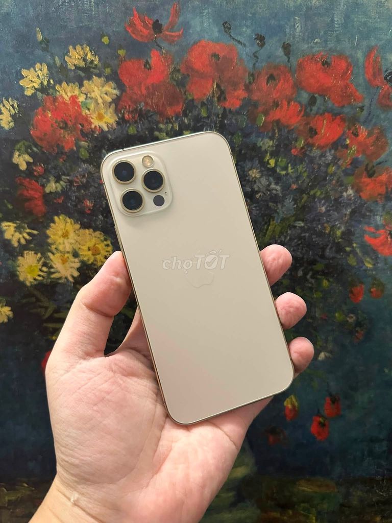 Apple iPhone 12 Pro 128GB Vàng. Mua bán Điện thoại tại Quận 1 Tp Hồ Chí Minh được đăng bởi Hội Đồ Điện Tử hình 1