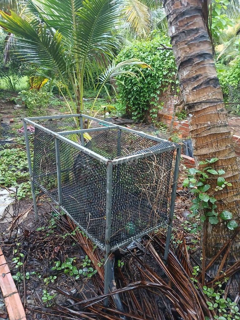 Chuồng nuôi gà con mùa mưa. Mua bán Phụ kiện, Thức ăn, Dịch vụ tại Huyện Long Hồ Vĩnh Long được đăng bởi Lặt hình 1