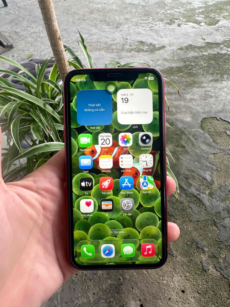 Apple iPhone 11 64g fun pin cao 95%. Mua bán Điện thoại tại Thành phố Dĩ An Bình Dương được đăng bởi ahung hình 1