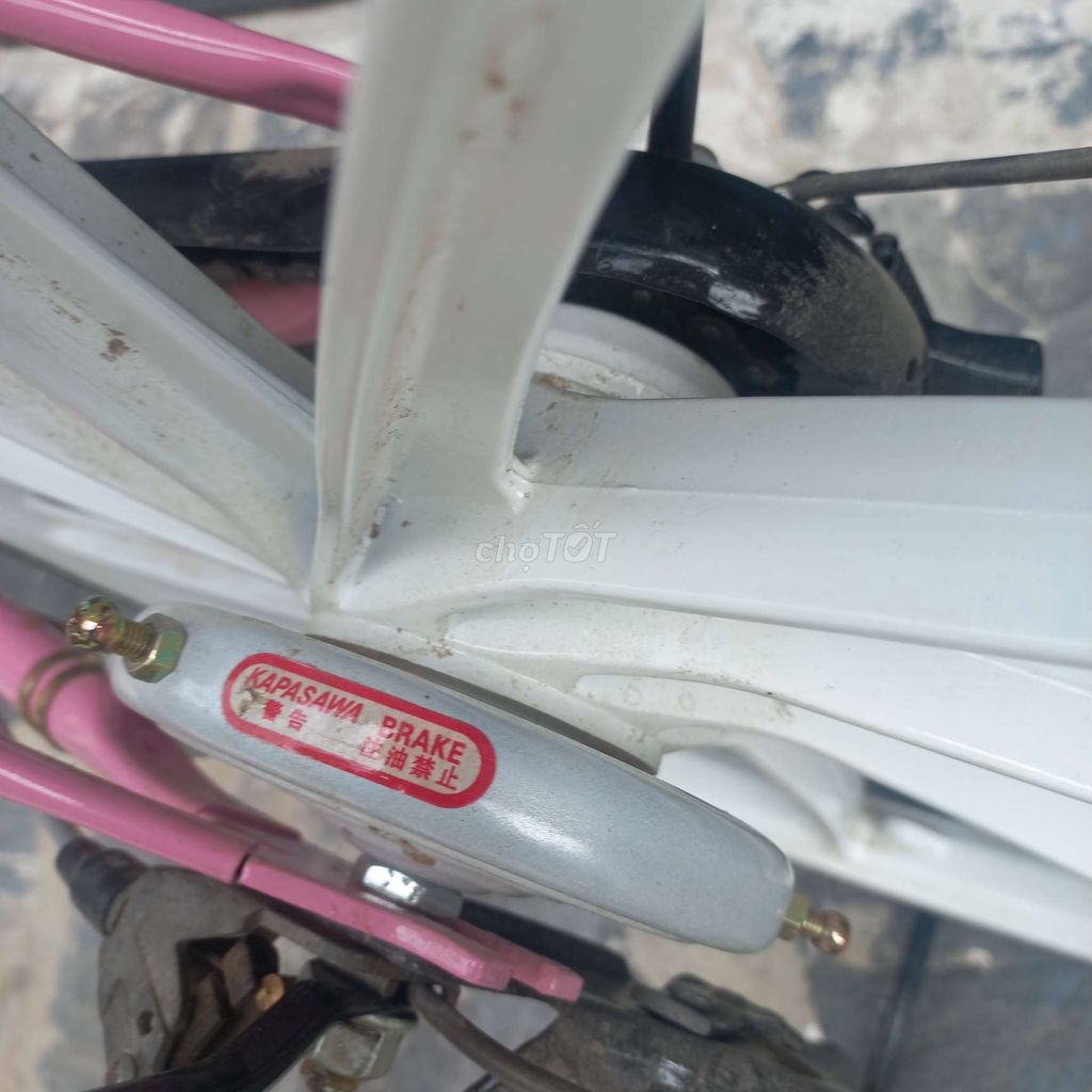 Xe đạp nội địa Nhật - Vành đúc