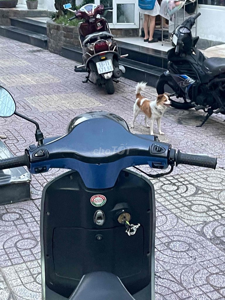 Bán xe Vespa 50cc,Bst đẹp đời 2019,xe đẹp gtdd. Mua bán Xe máy tại Quận Bình Thạnh Tp Hồ Chí Minh được đăng bởi Nguyễn hoàng thiện hình 4