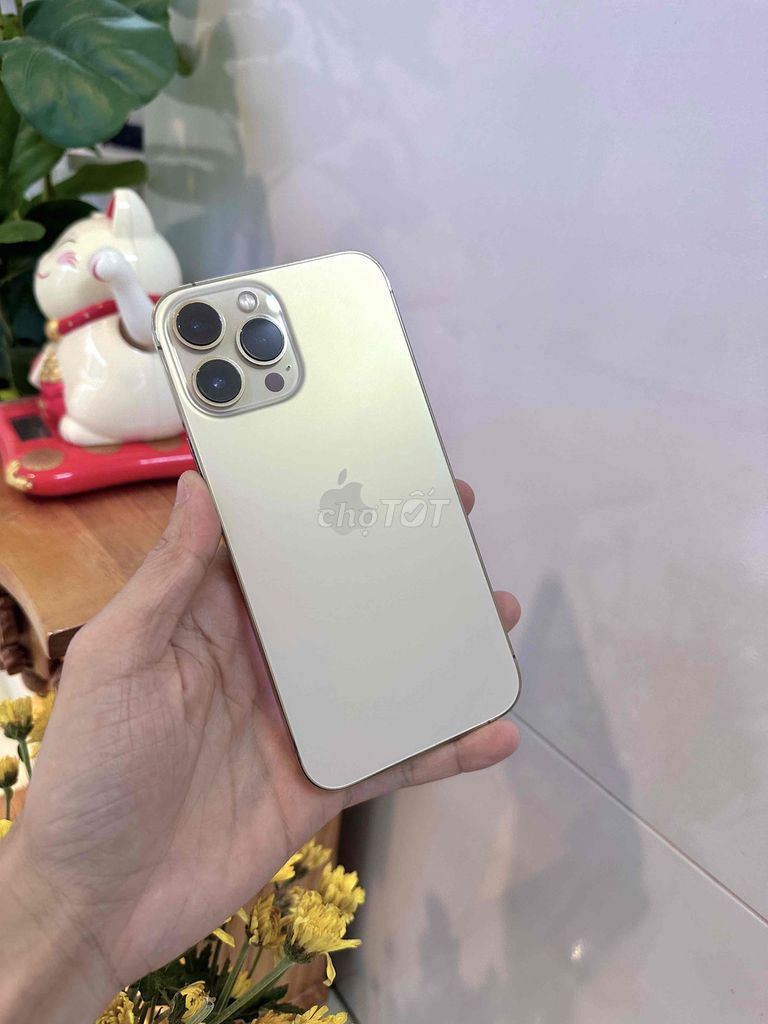 Apple iPhone 13 Pro Max 128GB Vàng 99%. Mua bán Điện thoại tại Thành phố Long Xuyên An Giang được đăng bởi phong LX  hình 1