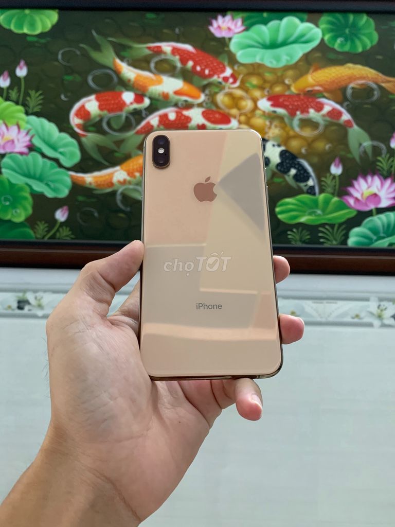 0938919715 - iPhone XS Max 256 GB quốc tế LL/A no face