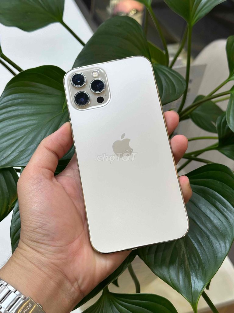 12 Pro Max 256GB Gold Qte Mỹ Pin new 100 đẹp 98.5%. Mua bán Điện thoại tại Quận Ninh Kiều Cần Thơ được đăng bởi Quý Mobile Cần thơ hình 1