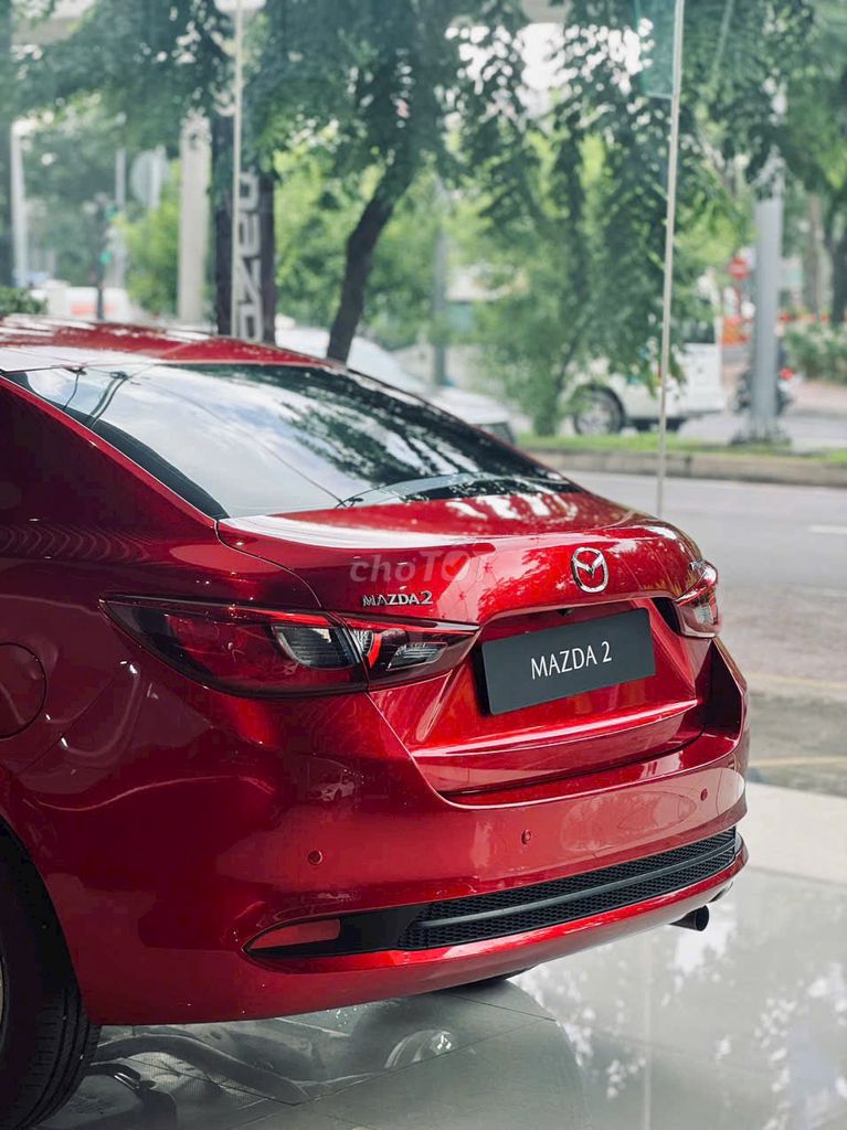Ảnh số 5