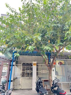 Аренда · 3 комн. · 60 м² · Quận Ngũ Hành Sơn, ул. Đường Trần Văn Dư