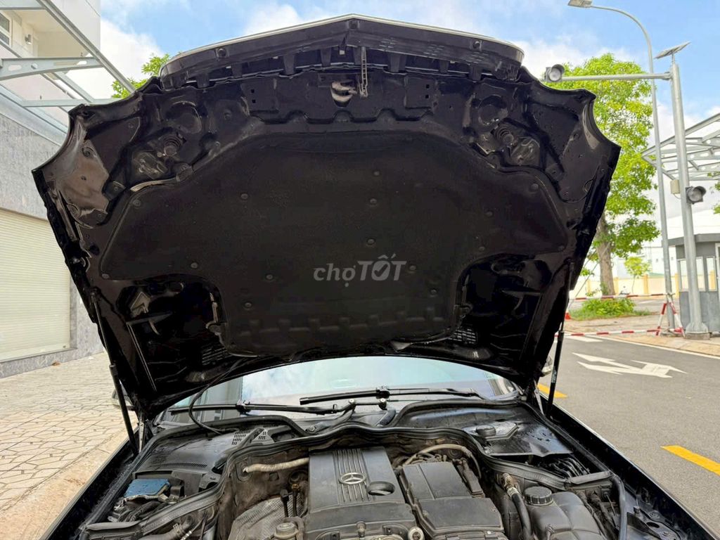 Ảnh số 7