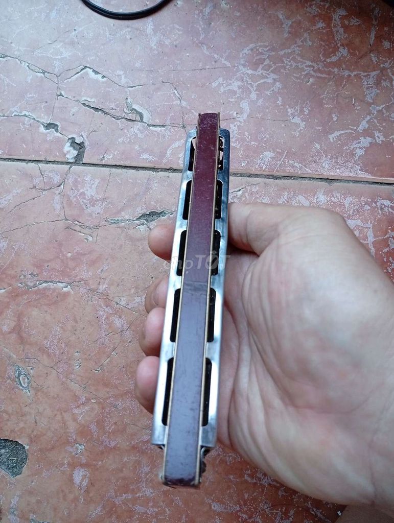 Kèn harmonica cổ