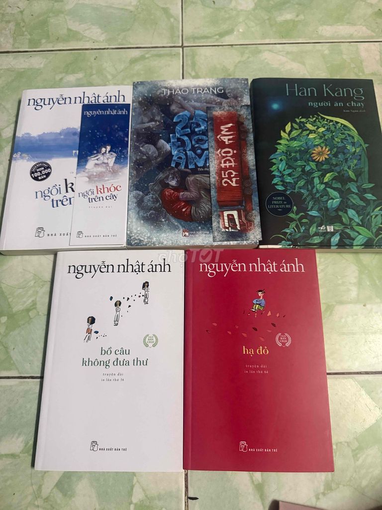 Pass tiểu thuyết hay. Mua bán Sách tại Quận Bình Tân Tp Hồ Chí Minh được đăng bởi Ngọc Ngân  hình 1
