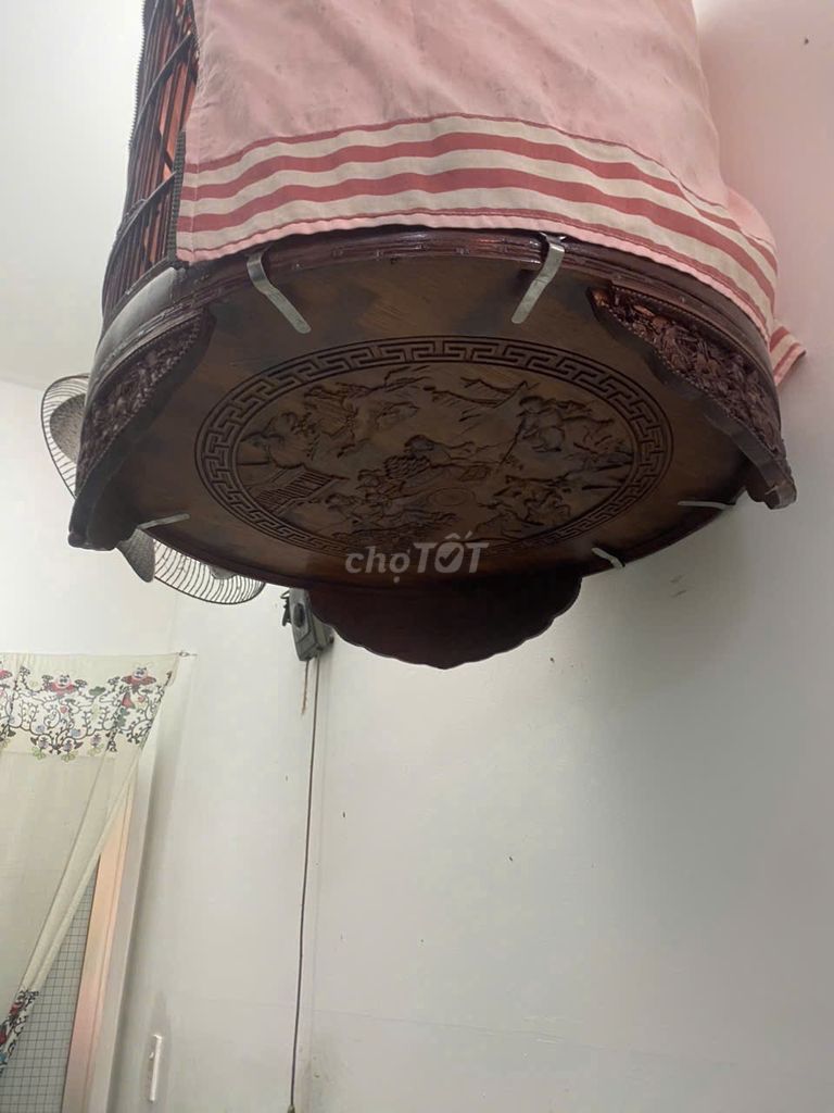 chim chích chèo,than. Mua bán Chim tại Quận Gò Vấp Tp Hồ Chí Minh được đăng bởi anh Hiền hình 1