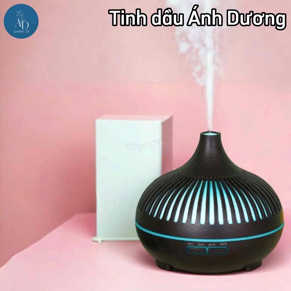 Đèn xông tinh dầu Ánh Dương