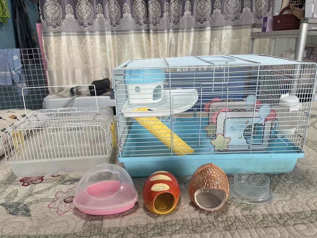 Lồng nuôi Hamster Kim loại, Nhựa. Mua bán Phụ kiện, Thức ăn, Dịch vụ tại Huyện Châu Thành Tiền Giang được đăng bởi Tú  hình 1
