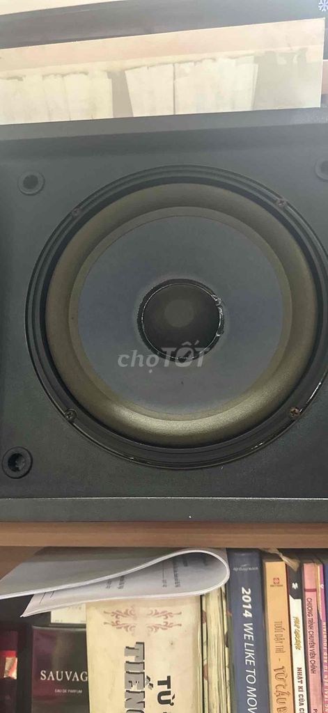 Loa Bose 301 Seri 2. Mua bán Tivi, Âm thanh tại Quận Cầu Giấy Hà Nội được đăng bởi ninh hình 1