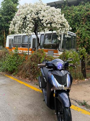 Honda SH 150 2016 Đen 37256 km