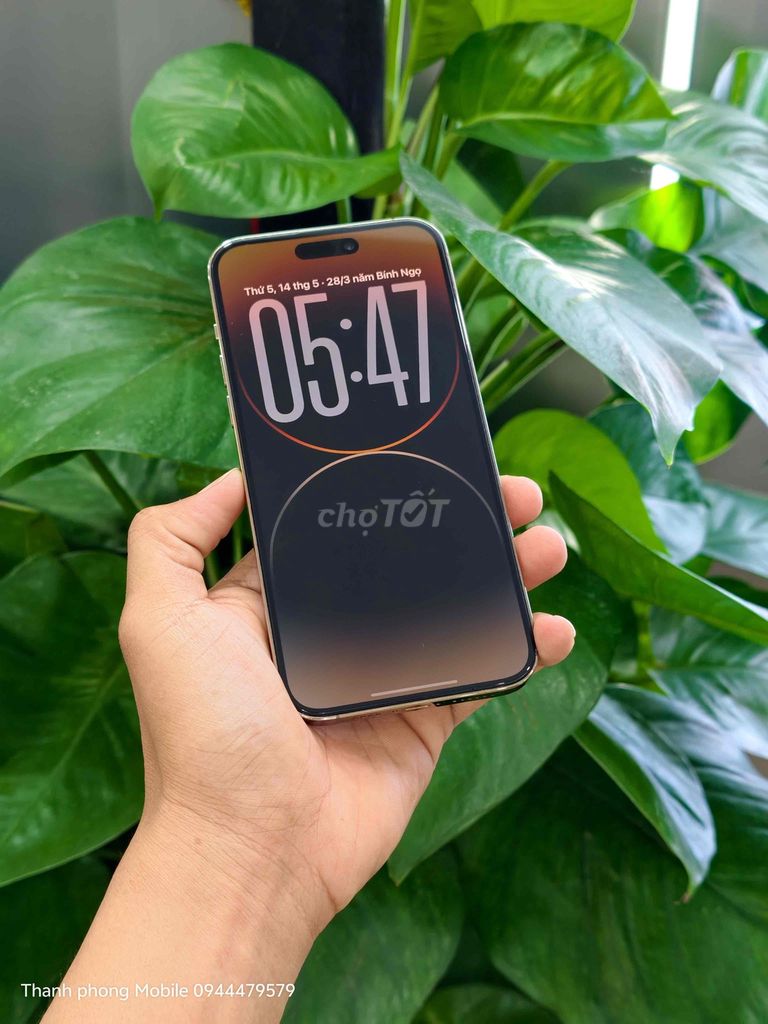 iPhone 14 Pro Max 128GB Vàng Đã sử dụng. Mua bán Điện thoại tại Thành phố Cà Mau Cà Mau được đăng bởi Thanh phong  hình 1