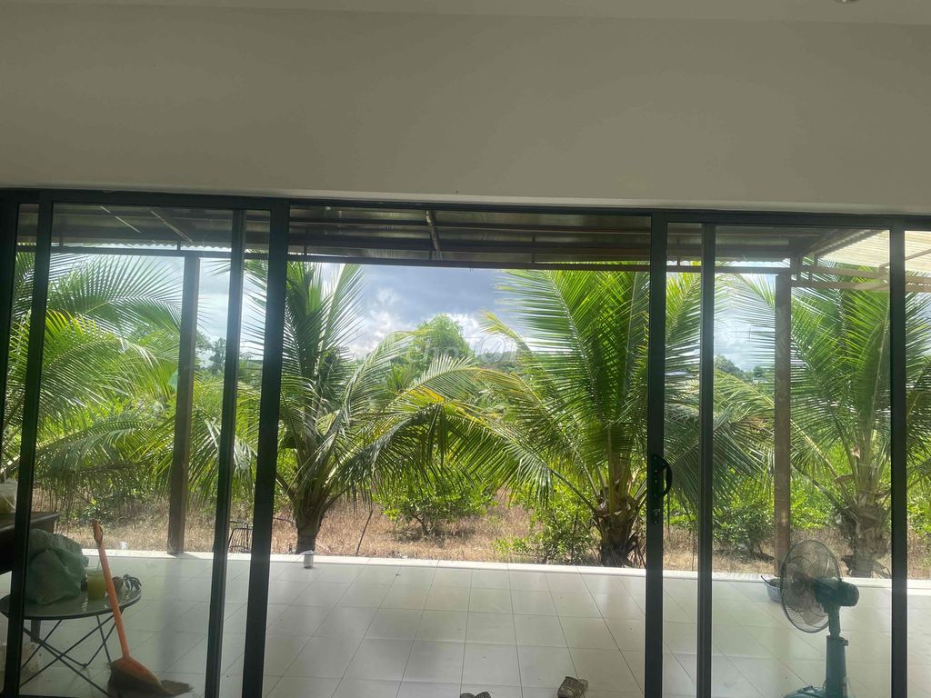 Vườn trồng cây 6000m2 bao gồm nhà ở 100m2 tại Ngãi Giao, Châu Đức BRVT. Cho thuê Nhà ở tại Huyện Châu Đức Bà Rịa - Vũng Tàu được đăng bởi Thêm Ngô hình 5