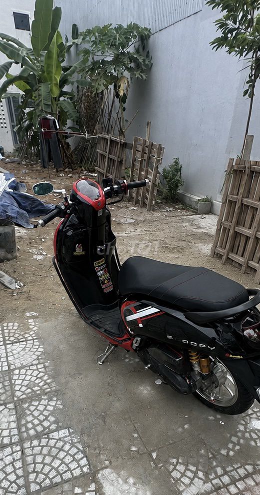 Honda Scoopy 2024 черный, красный