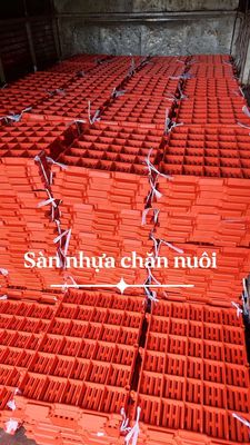 Sàn nhựa lót chuồng, chó mèo heo vv. Mua bán Phụ kiện, Thức ăn, Dịch vụ tại Quận Bình Tân Tp Hồ Chí Minh được đăng bởi Bảo thủy