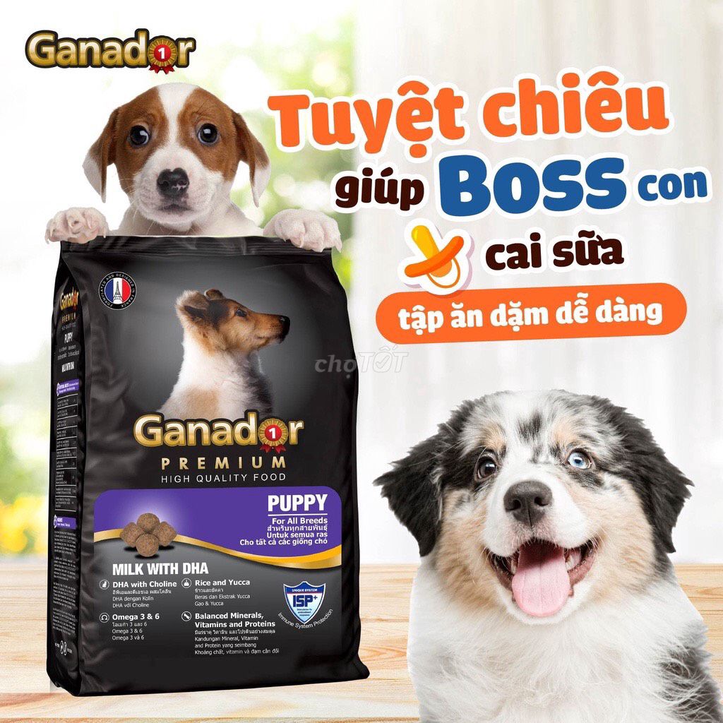 10KG THỨC ĂN CHO CHÓ Ganador Puppy Vị Sữa DHA. Mua bán Phụ kiện, Thức ăn, Dịch vụ tại Quận Phú Nhuận Tp Hồ Chí Minh được đăng bởi Mr Thao hình 1