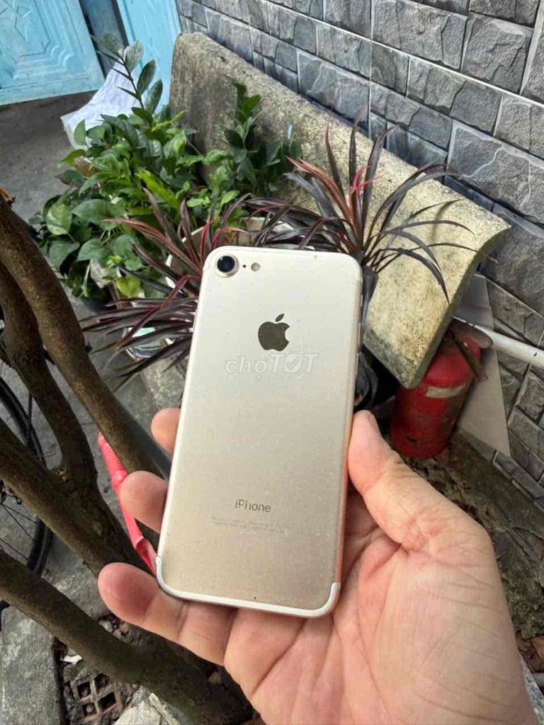 Apple iPhone 7 128GB Vàng. Mua bán Điện thoại tại Quận 12 Tp Hồ Chí Minh được đăng bởi cute hình 1