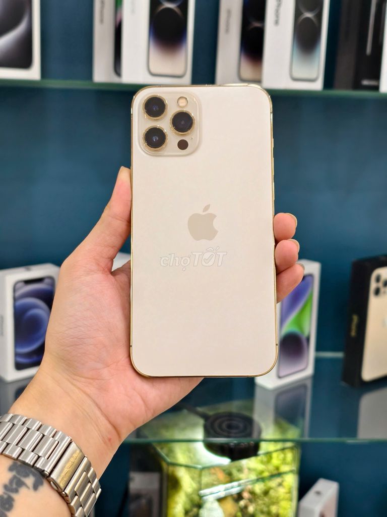 iPhone 12 ProMax 128GB Gold Quốc Tế Zin Nguyên Bản. Mua bán Điện thoại tại Quận Phú Nhuận Tp Hồ Chí Minh được đăng bởi TYMO Việt Nam hình 1