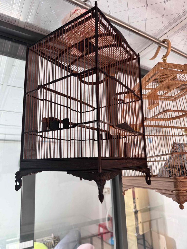 lồng mun chim sâu. Mua bán Phụ kiện, Thức ăn, Dịch vụ tại Huyện Hóc Môn Tp Hồ Chí Minh được đăng bởi Do nam hình 1