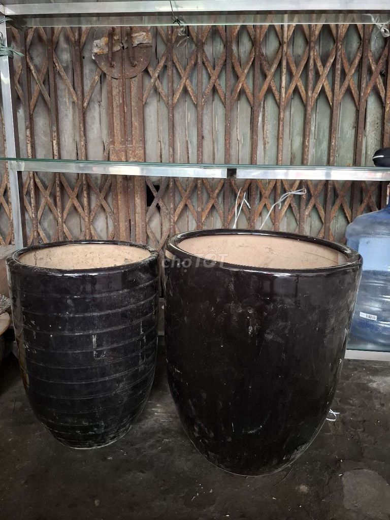 Chậu cây Đen size Lớn. Mua bán Cây cảnh, đồ trang trí tại Quận Đống Đa Hà Nội được đăng bởi Yuppp hình 1