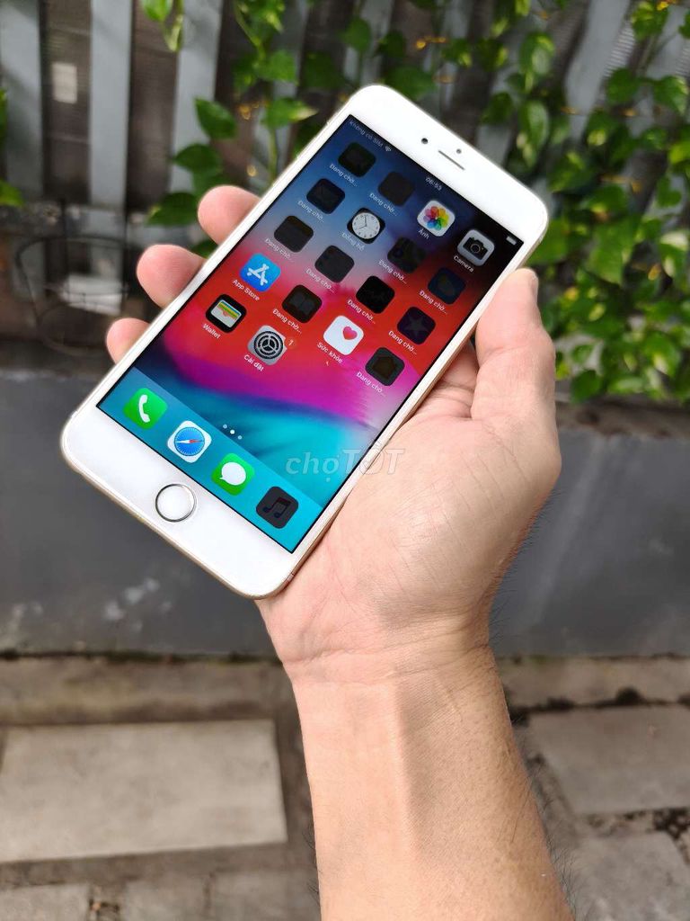 Apple iPhone 6 Plus 64GB Vàng q. tế bao reset zin . Mua bán Điện thoại tại Thành phố Biên Hòa Đồng Nai được đăng bởi Anh Duy  hình 1
