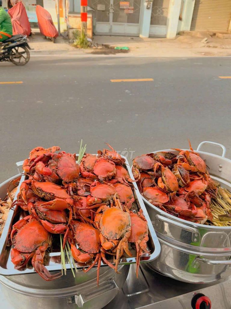 Hải sản tươi sống, Cua ngon kiên giang