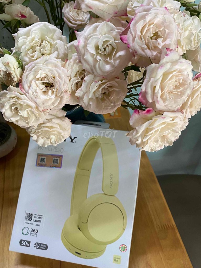 Tai nghe Sony WH-CH520 Vàng. Mua bán Tivi, Âm thanh tại Quận Tân Phú Tp Hồ Chí Minh được đăng bởi Huỳnh hình 1