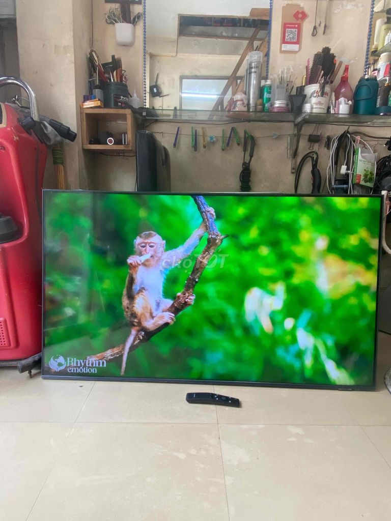Tivi Samsung 50 inh QLED 8K zin đẹp 99/% sx 2023. Mua bán Tivi, Âm thanh tại Quận Thanh Xuân Hà Nội được đăng bởi Văn sỹ cắt tóc hình 1
