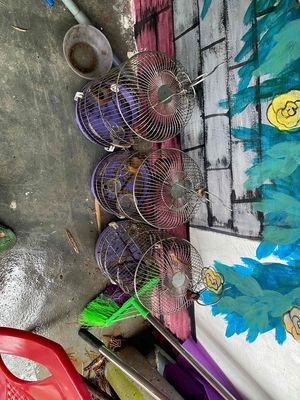 Lồng chim hút mật Inox, Sắt. Mua bán Phụ kiện, Thức ăn, Dịch vụ tại Quận Hải Châu Đà Nẵng được đăng bởi Trần vũ