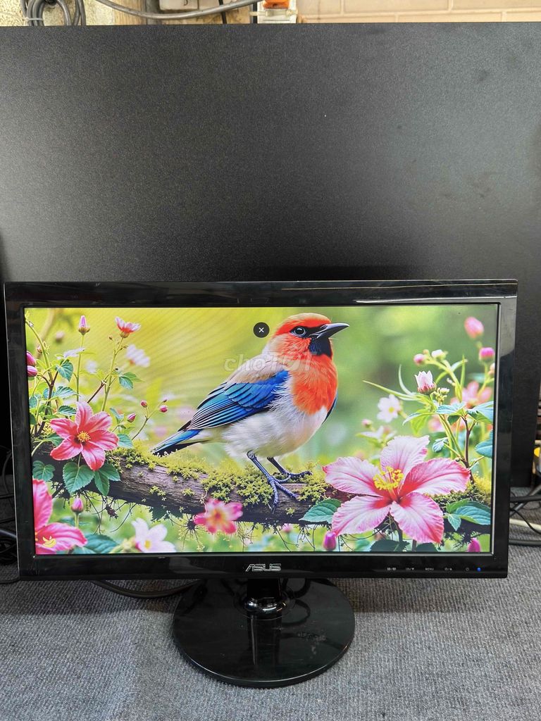 MÀN HÌNH ASUS 20" HIỂN THỊ ĐẸP KENG NÉT CHO ANH EM