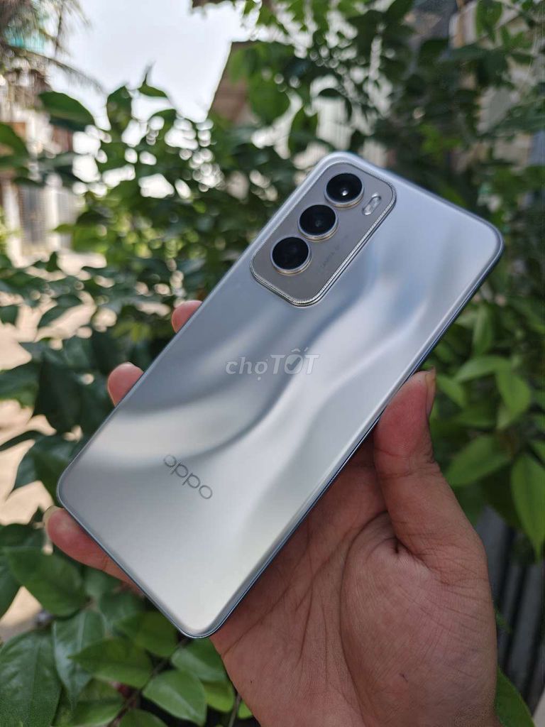 Oppo Reno 12 12GB/256GB Bạc. Mua bán Điện thoại tại Huyện Bình Chánh Tp Hồ Chí Minh được đăng bởi Lâm mobiphone hình 1