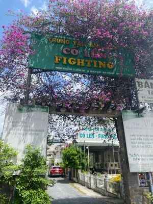 Bán biệt thự 1400m2 gan sân vận động dĩ an trung tâm anh ngữ fighting. Mua bán văn phòng, mặt bằng kinh doanh tại Thành phố Dĩ An Bình Dương được đăng bởi Han Tranthi