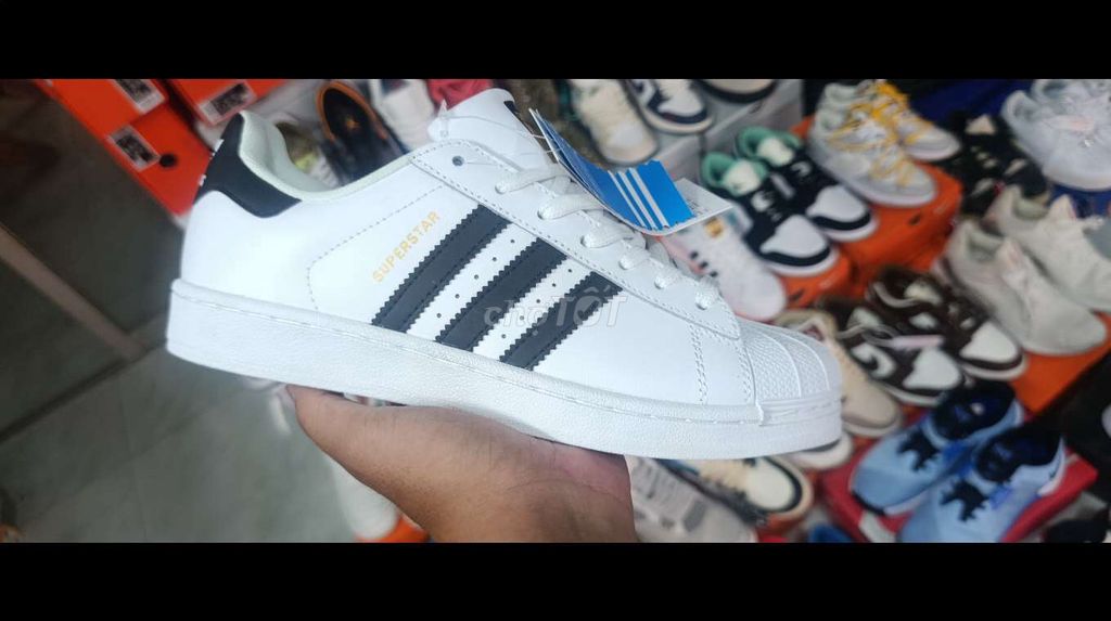 Giày thể thao Adidas Superstar. Mua bán Giày dép tại Quận Tân Phú Tp Hồ Chí Minh được đăng bởi Nguyen thanh trung hình 1