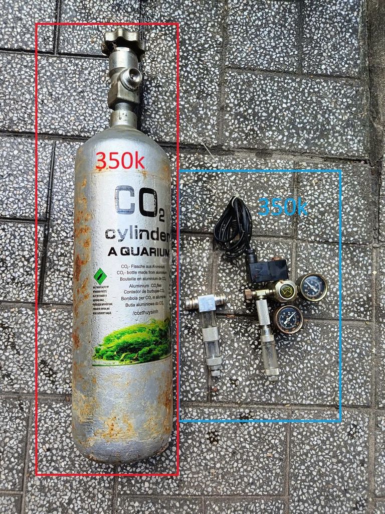 Bình CO2 Thủy sinh Và Van điện Mufan bộ trộn chữ T. Mua bán Đồ chuyên dụng, Giống nuôi trồng tại Thành phố Tây Ninh Tây Ninh được đăng bởi Trinh Nguyen hình 1