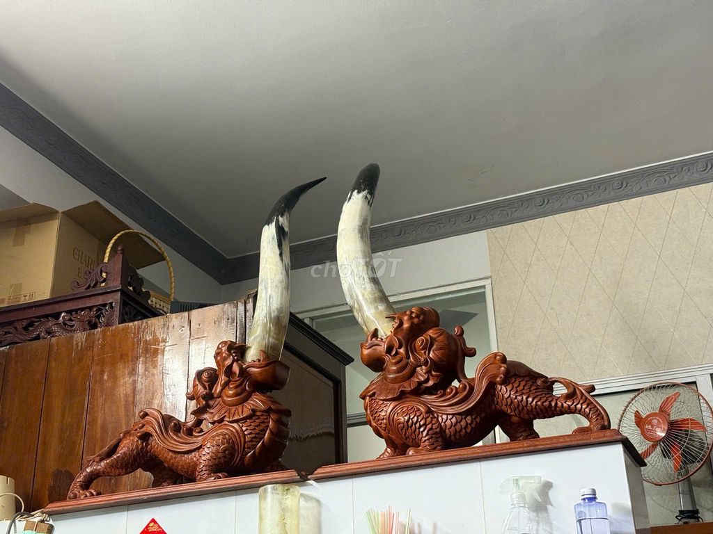 Đồ trang trí Gỗ Sừng Nâu Trắng Đen. Mua bán Cây cảnh, đồ trang trí tại Thành phố Sóc Trăng Sóc Trăng được đăng bởi Bích Tuyền hình 1
