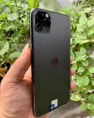 thanh lý nhanh iphone 11 Pro Max 256G xanh rêu. Mua bán Điện thoại tại Quận Tân Bình Tp Hồ Chí Minh được đăng bởi Quang hoang