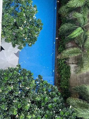 Rent · 1 bd · 40 м² · Quận Gò Vấp, ул. Đường Trần Bình Trọng