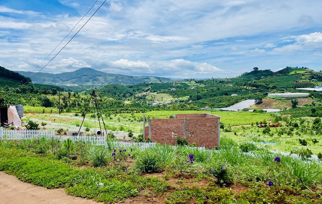 🌟[CHỢ TỐT]Đất đẹp xây nhà nghỉ dưỡng view đồi thông gần chợ ven Đà Lạt