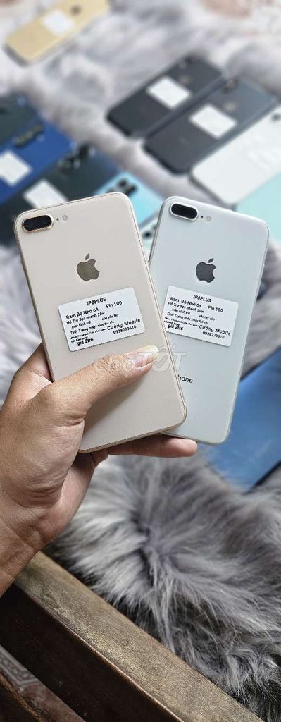 iPhone 8 Plus 64GB Vàng, Bạc Đã sử dụng. Mua bán Điện thoại tại Huyện Bình Chánh Tp Hồ Chí Minh được đăng bởi Trương Văn Cường hình 1