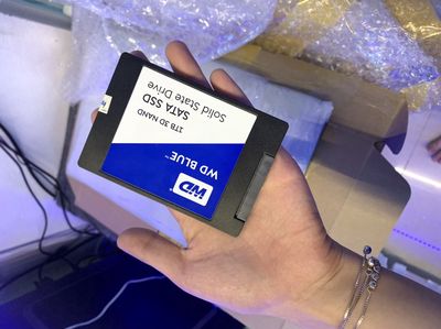 SSD 2.5 inch bóc máy WD blue 1TB sk100%