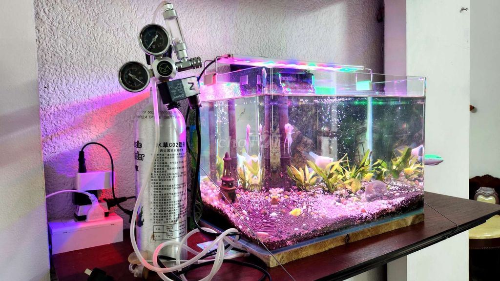 Pass nhanh bình thủy sinh co2 1L nhôm còn mới