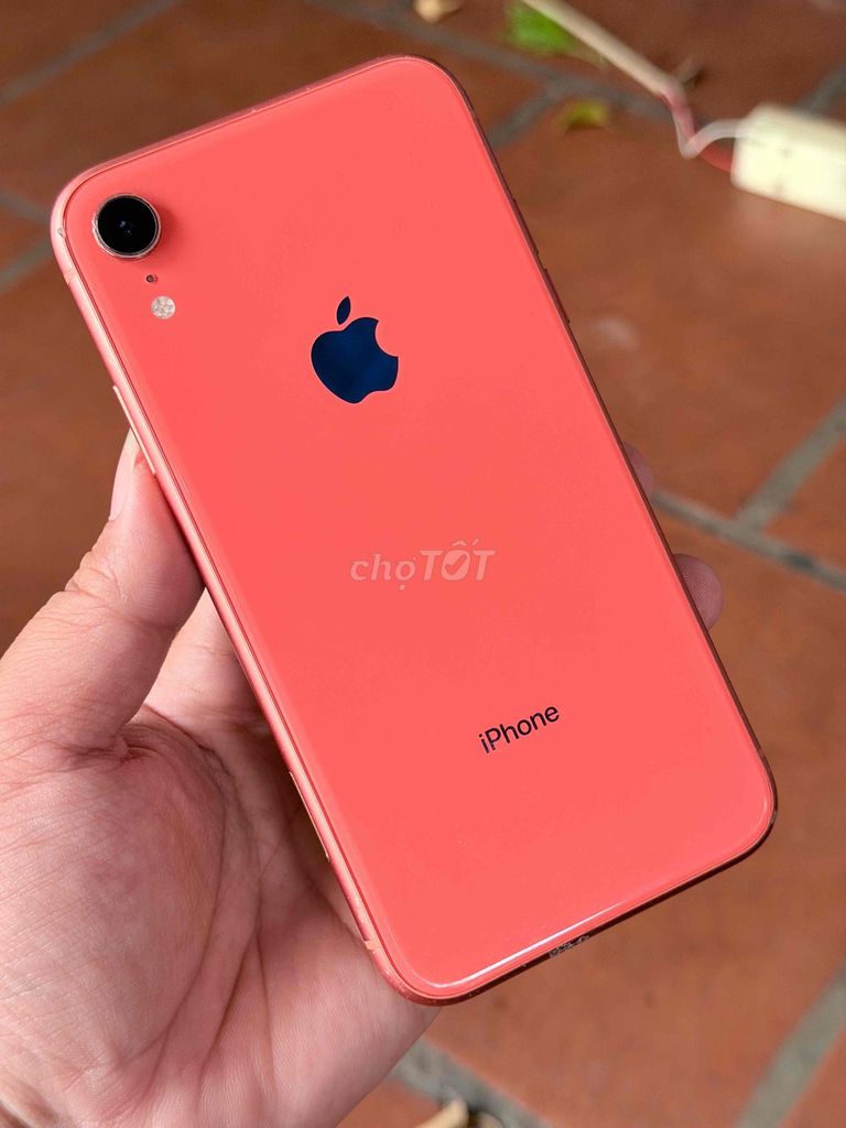 XR qt 128gb zin pin 100% Bán có Gl + Góp icloud. Mua bán Điện thoại tại Thành phố Biên Hòa Đồng Nai được đăng bởi HUNG  hình 1