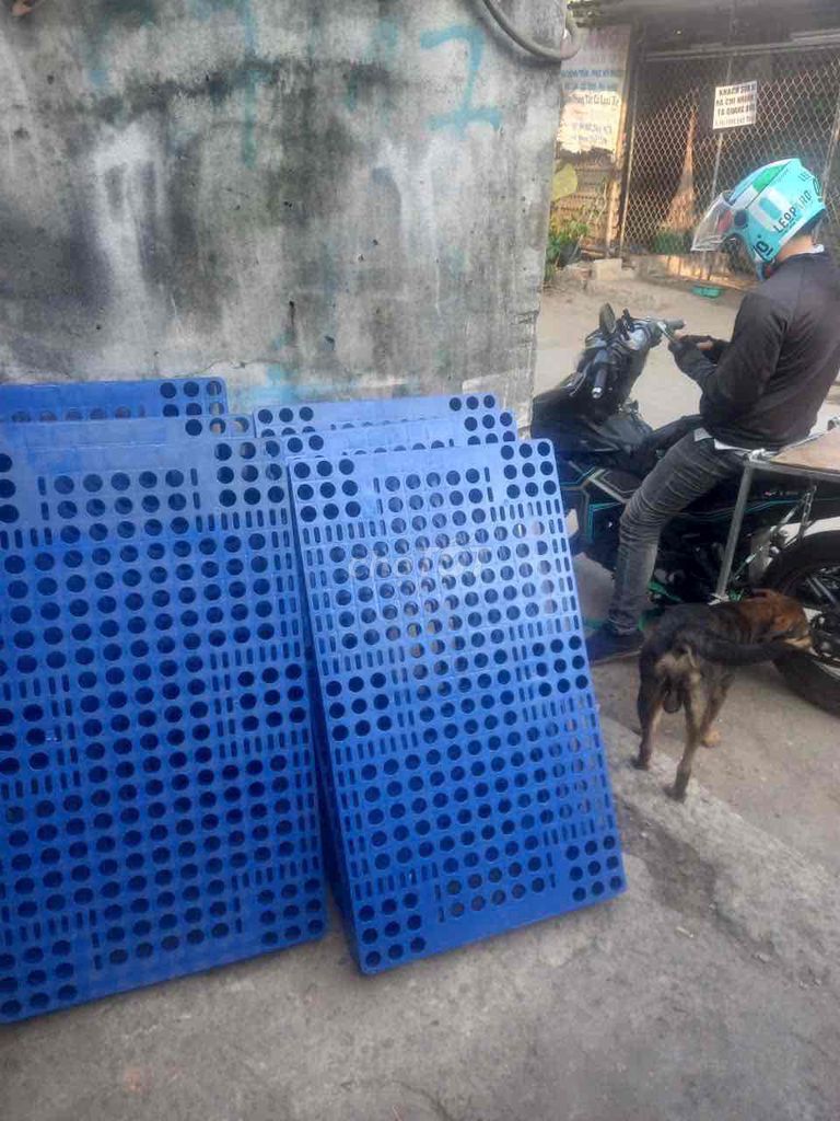 Pallet nhựa Xanh dương 0.6x1m. Mua bán Nội thất, đồ gia dụng khác tại Quận Gò Vấp Tp Hồ Chí Minh được đăng bởi C Hoàn hình 1