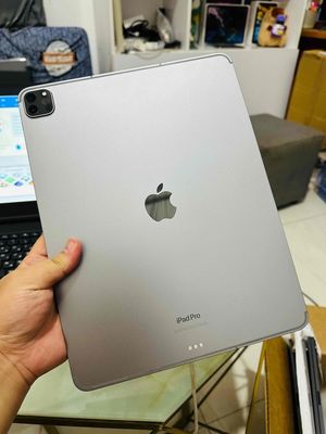 🎁 IPAD PRO 12.9IN M2 256GB WIFI 5G ZIN ALL 100%
