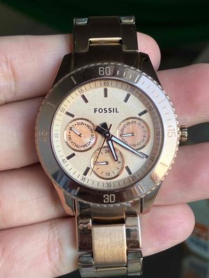 Fossil size 38